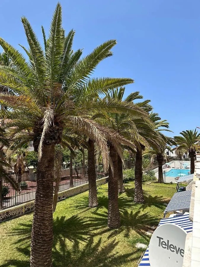 Las Americas Tenerife Arona  Spain